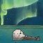 Image result for Otter Wallpaper Northern Lights