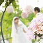 Image result for Wedding Background Wallpaper