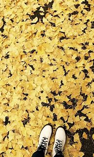 Image result for Aesthetic Backgrounds iPhone Yellow