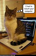 Image result for Sad Cat Meme Computer Unlocked