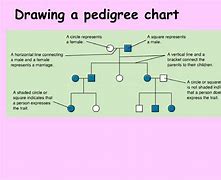 Image result for Albinism Pedigree Chart