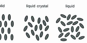 Image result for Nematic Liquid Crystal