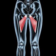 Image result for agductor