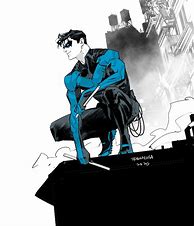 Image result for Nightwing Official Art