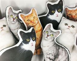 Image result for Cat Couch Pillows