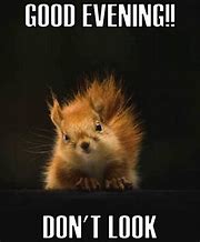 Image result for Have a Good Evening Meme Funny