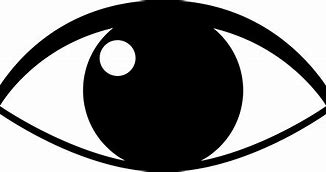 Image result for Chines Eye-Small