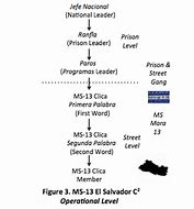 Image result for MS-13 Gang Hierarchy