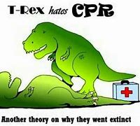 Image result for Funny T-rex Memes