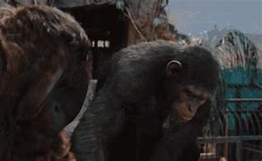 Image result for Ape Alone Weak Apes Together Strong