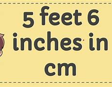 Image result for 5 Foot 6 Inches Tall