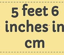 Image result for 5 Foot 6 in Inches