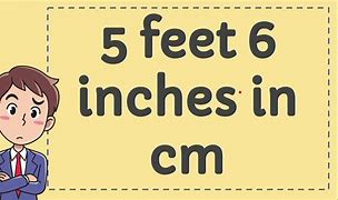 Image result for 5 FT 6 in Inches