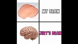 Image result for Smooth Brain Image