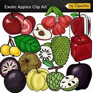 Image result for Pink and Green Apple Clip Art