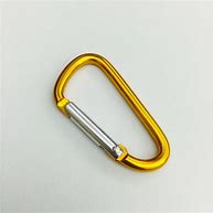 Image result for Gold Key Hook Carabiner
