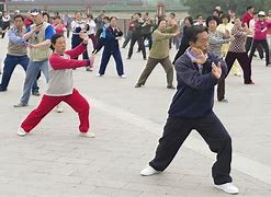 Image result for Tai Chi Martial Arts