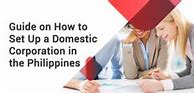Image result for Domestic Corporation