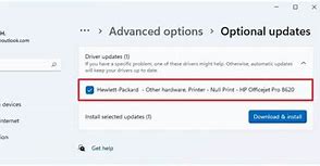 Image result for Optional Updates Win 11 Dell Firmware