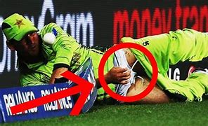 Image result for Funny Cricket