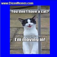 Image result for Cat Memes Funny Clean