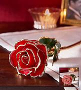Image result for 24K Rose with Light and Victoria