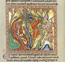 Image result for medieval bestiaries illustration