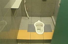 Image result for Toilet with Push Button Flush Parts