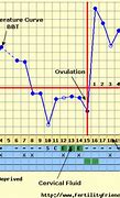 Image result for What Does Ovulation Bleeding Look Like