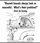 Image result for Funny Basset Hound Memes