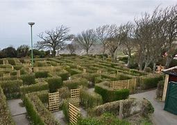 Image result for Circular Hedge Maze