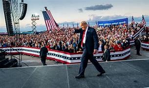 Image result for Donald Trump Campaign Rally