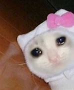 Image result for Crying Cat Meme Hearts