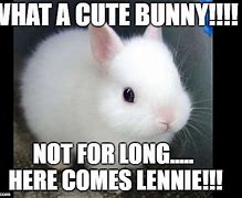 Image result for Dead Rabbit Lenny Meme