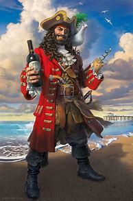 Image result for Pirate Captain Images