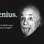 Image result for Einstein Stock Quotes