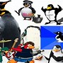 Image result for Penguin Meme PFP