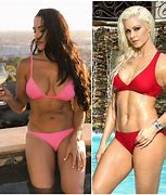 Image result for Nikki Bella and Maryse Ouellet