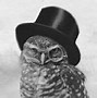 Image result for Cat with Top Hat and Monocle