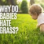 Image result for Baby Don't Touch Grass