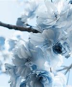 Image result for Preppy Wallpaper Flower Blue