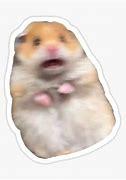 Image result for Screaming Mouse Meme