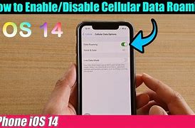 Image result for Data Roaming in iPhone