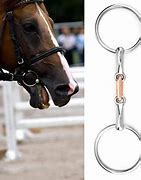 Image result for Loose Ring Snaffle On Horse