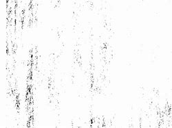 Image result for Grain Texture PNG