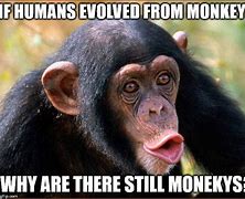 Image result for Monkey God Meme