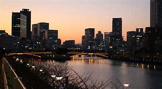 Image result for New Osaka Hotel City