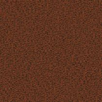 Image result for Tan Skin Color Texture