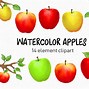 Image result for Pic of Many Apple