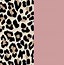 Image result for Cheetah Print Background Pink and Black